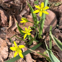 25-03-21 13-30-51 2493